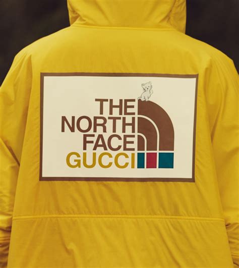 gucci x norrh face|north face x gucci collection.